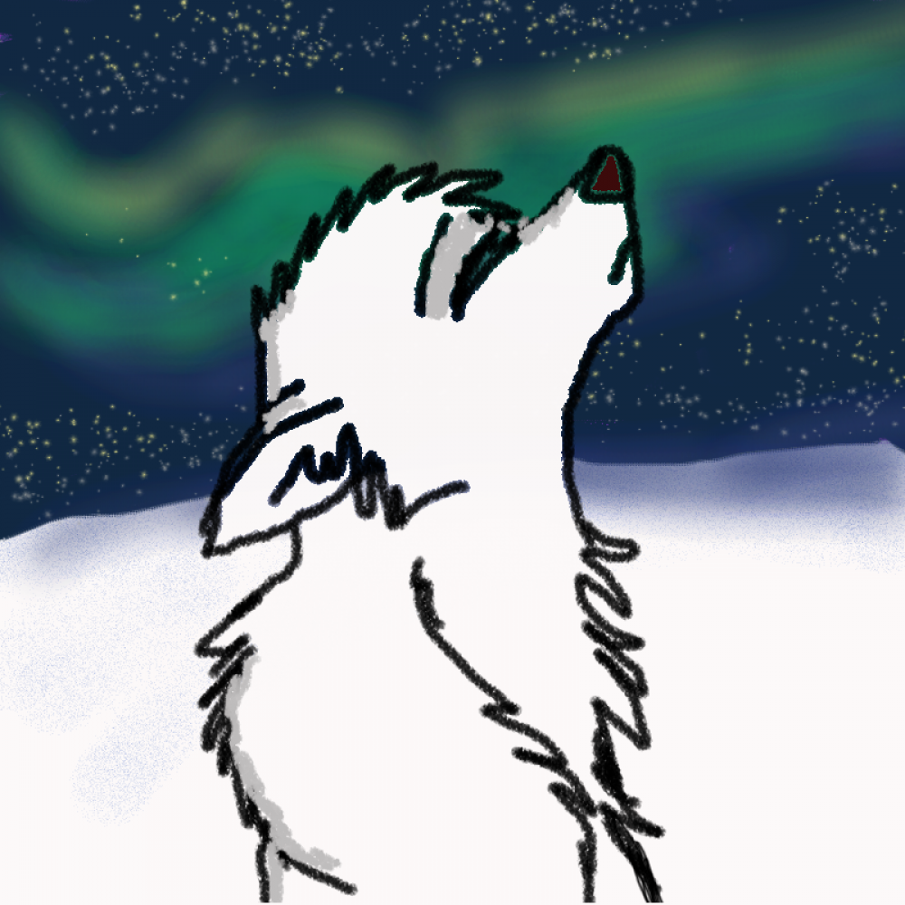 Aniu Sky