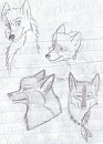 Chinoa and Wynn- realism practice?