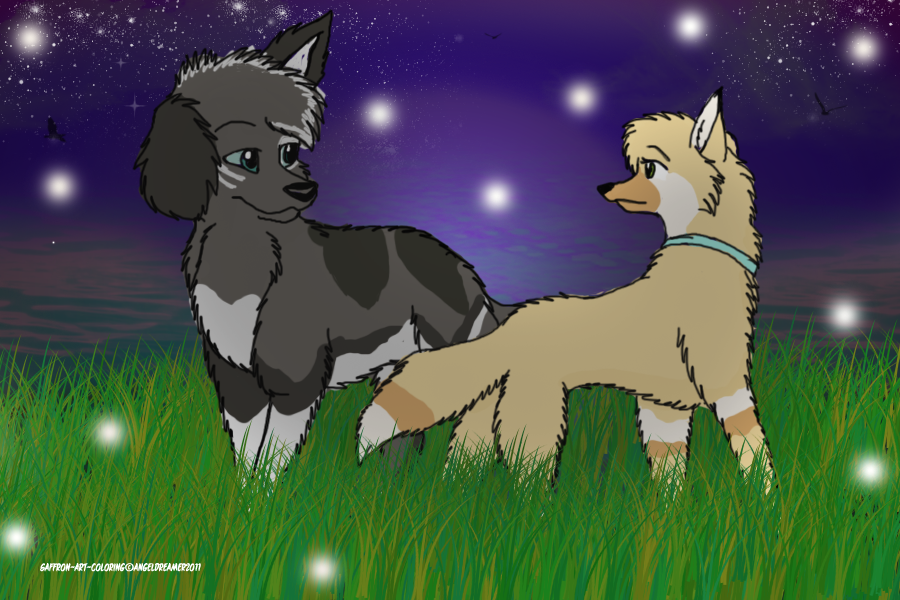 Firefly serenade by dusk