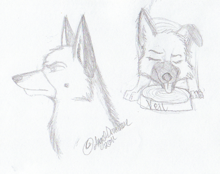 Veil Doodles