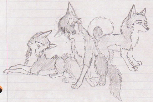 stuffs
