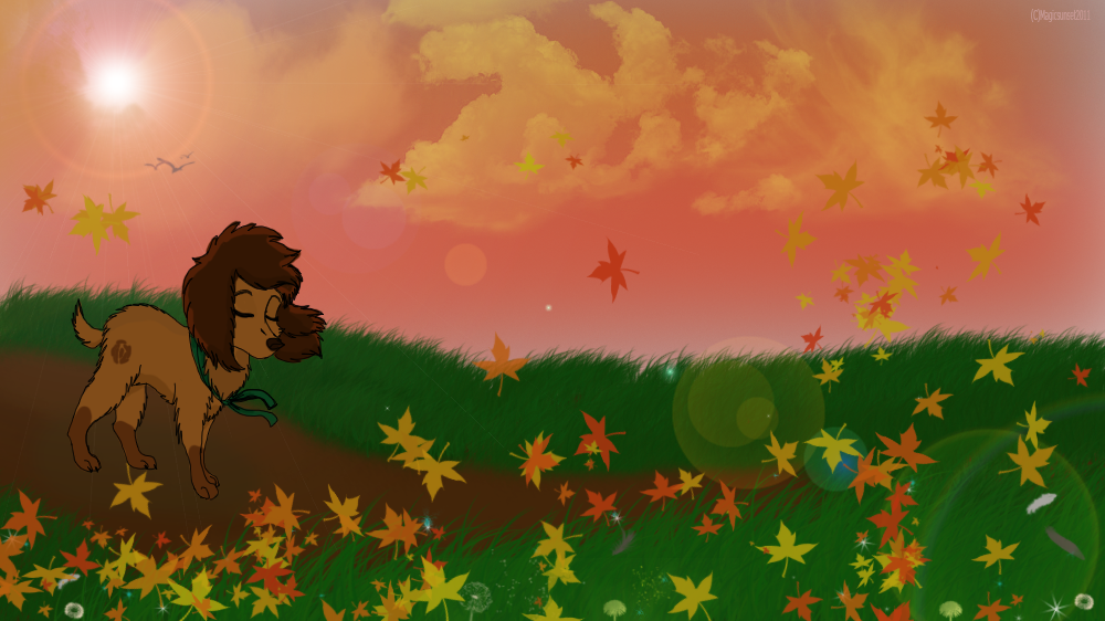 .::Down such a lonely road::.