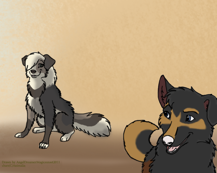 Request From Animalia  :)