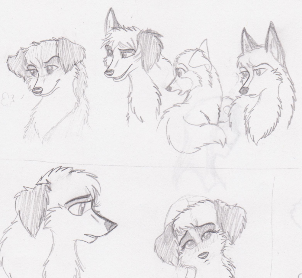 Doodles <3