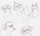 Doodles <3