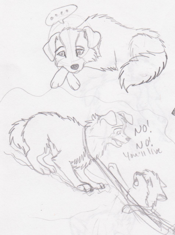 1 am doodles