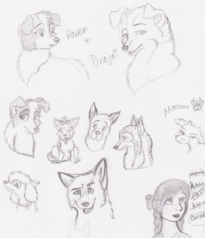 Wide Range of Doodles
