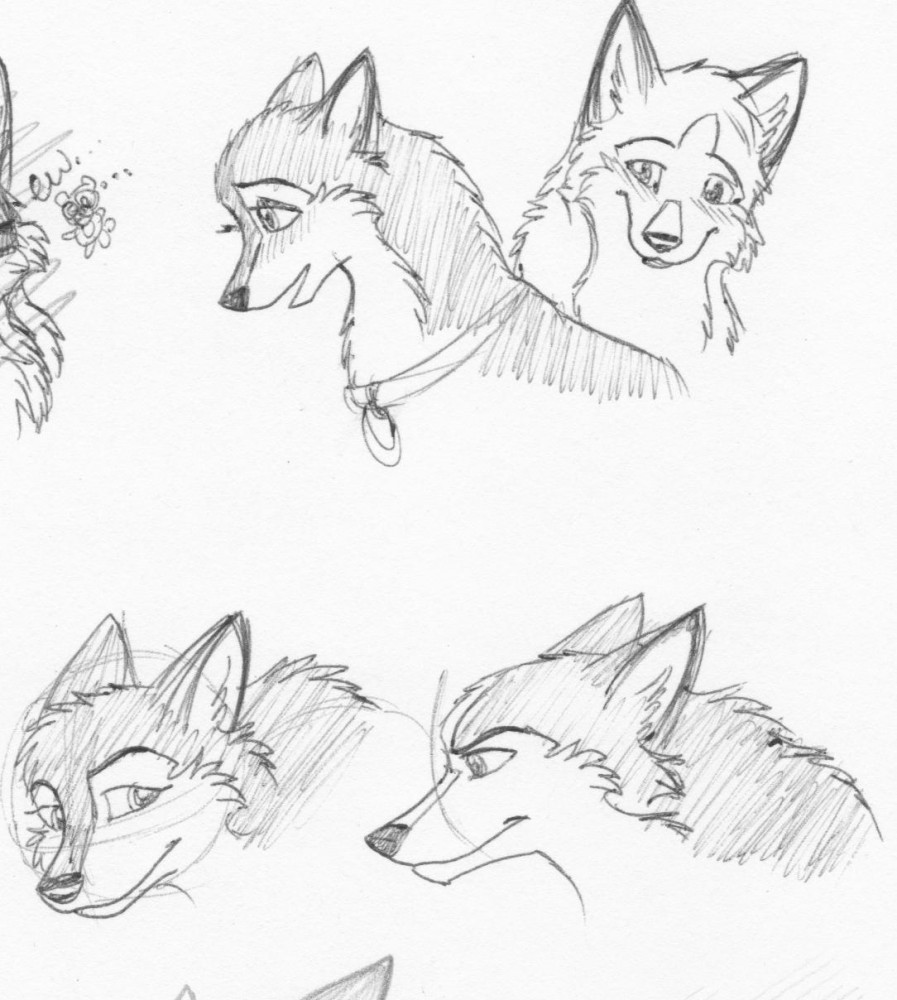 More Kodi and Dusty fluff <3