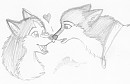 wHoOpS o3o