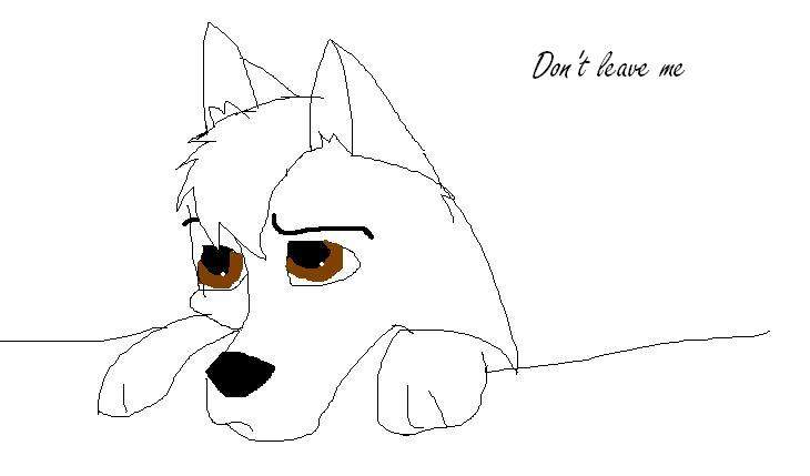 Don't leave me