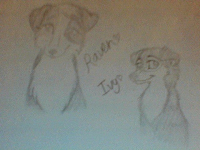 I realllly want a scanner Dx