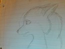 Chenoa unfinished doodle...