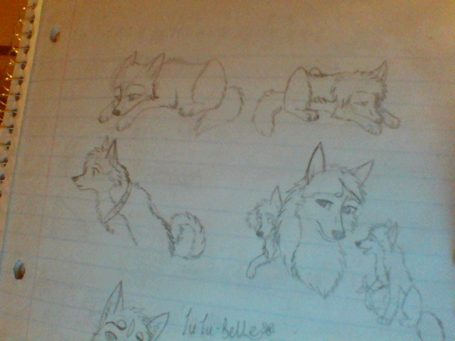 Bear, Alaki and Gem