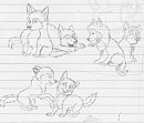The team as puppies...