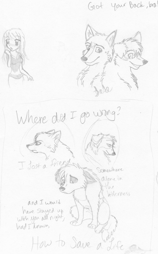 Where did I go wrong?