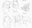 Expressions