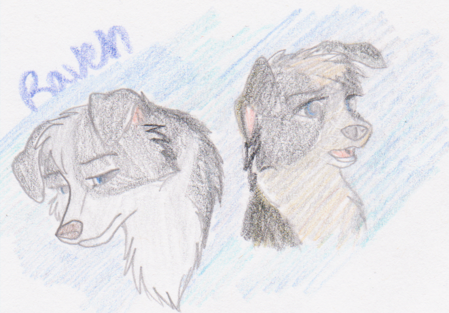 Raven doodles