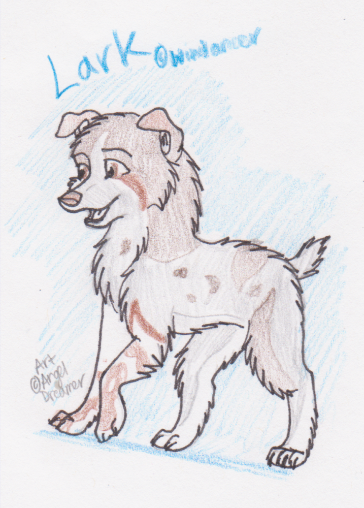 Lark- Trade with Windancer