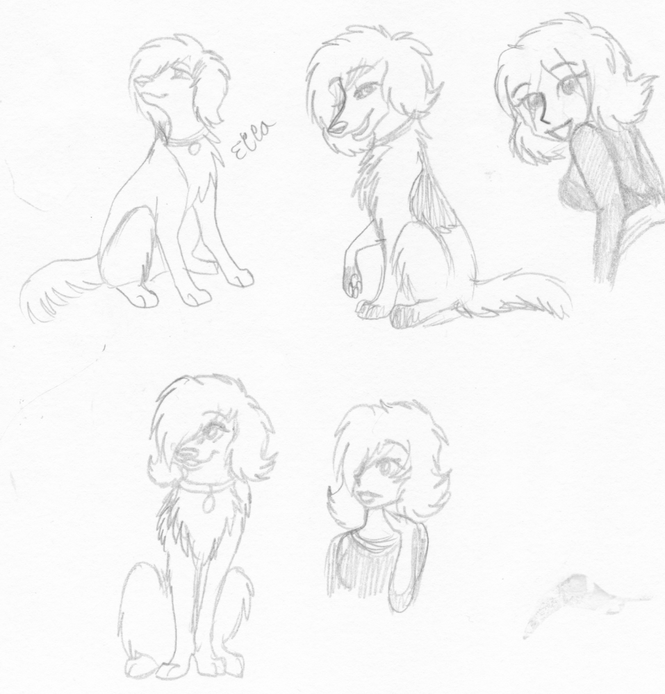 I dunno...just random