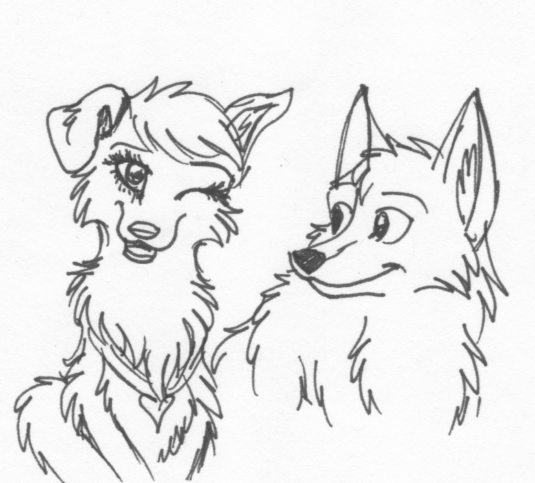 Saffron and Carvan