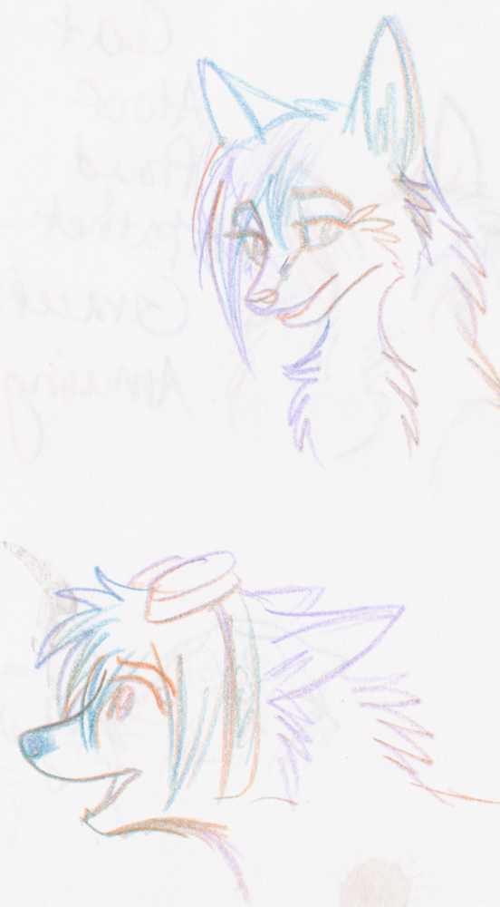 Hailey Doodles