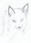 Aniu