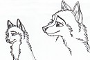 Dusty doodles :U