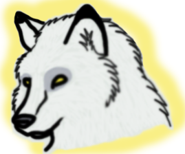 Aniu Practice