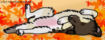 Rub mah belly :3