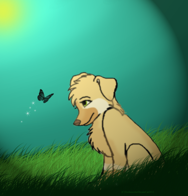 Innocence