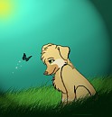 Innocence