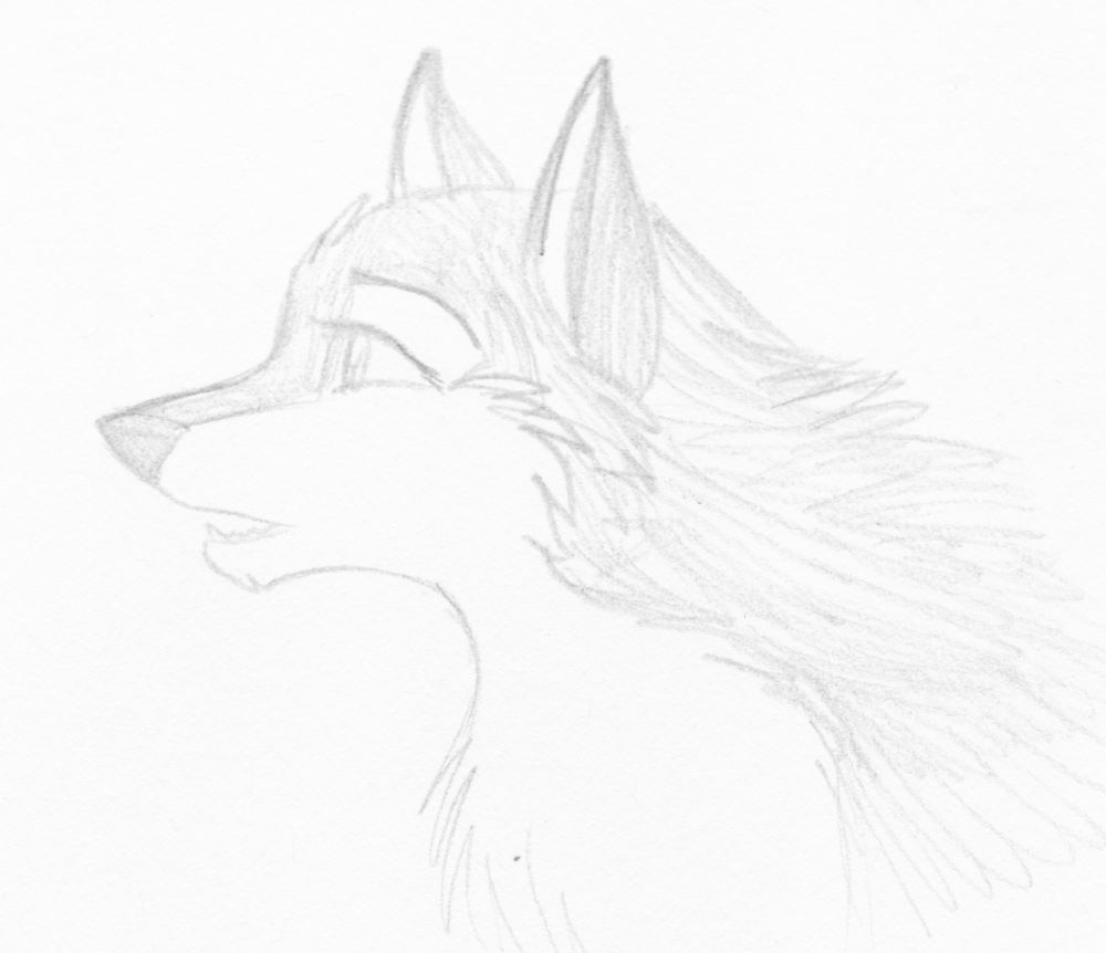 Gaze
