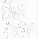 My versions