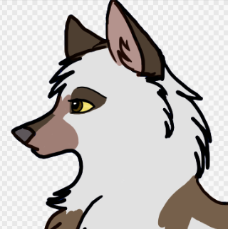 Teaser