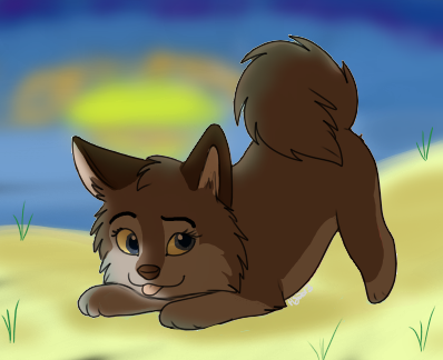 At the Beach