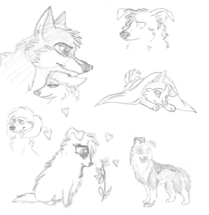 Dump