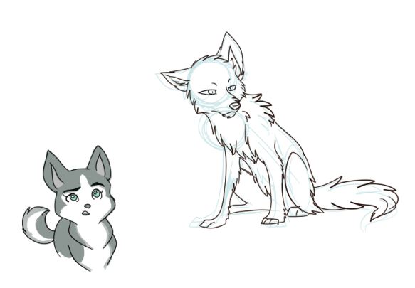 experimentation