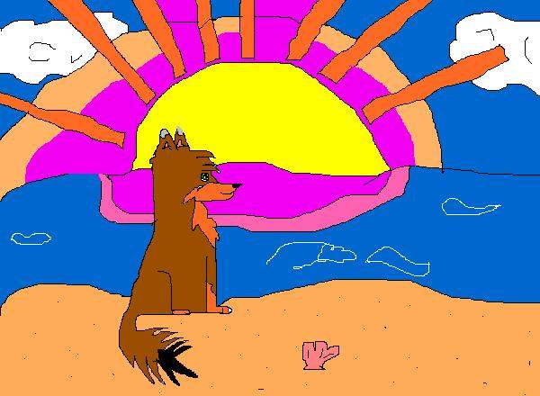 I like beaches