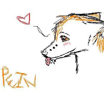 Pein-sama ♥