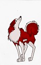 Kodi colored
