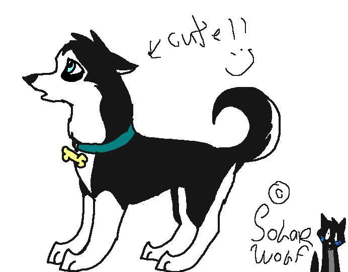 Puppy Steele