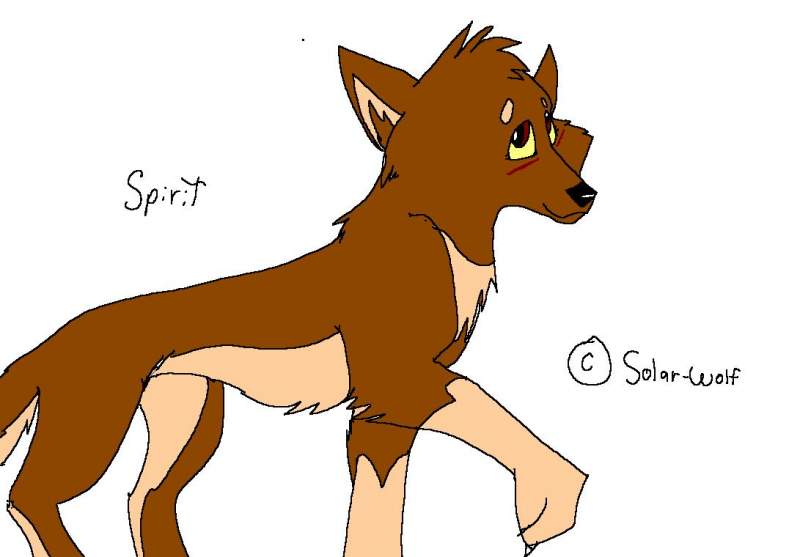 Spirit The wolf