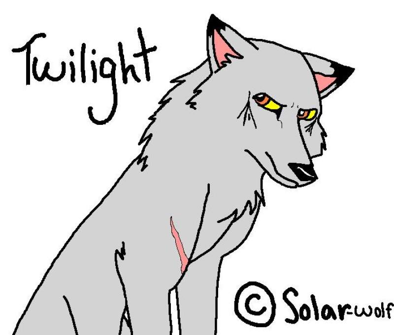 Twilight the wolf