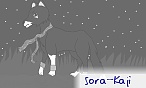 SóraSóckz
