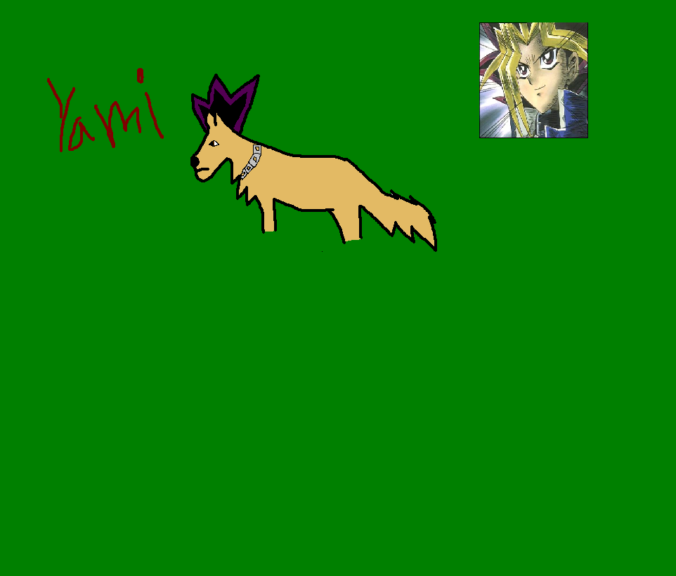 Yami as a wolf