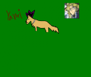 Yami as a wolf