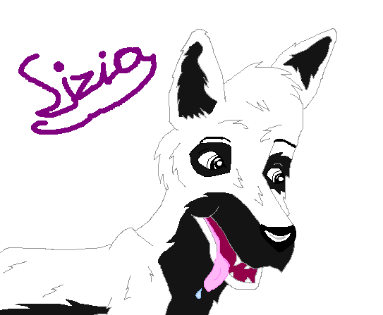Sizia