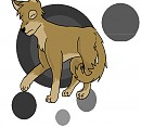 Balto