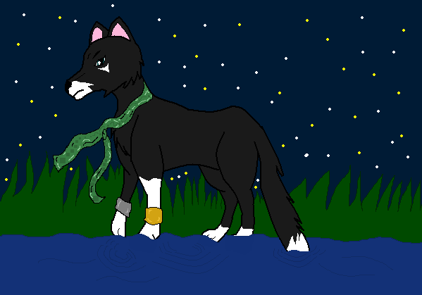 Kamera wading into pond