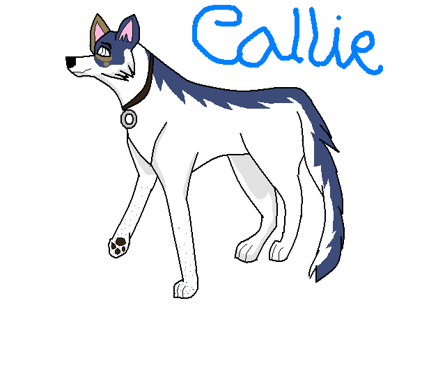 Callie for Tadie